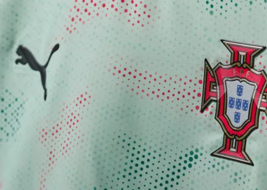 portugal fc — IN news