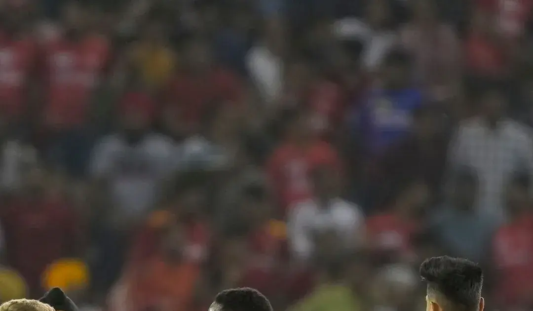 royal riders punjab vs india tigers — IN news