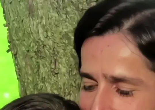 sarke chunar teri sarke — IN news