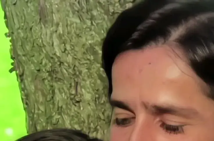 sarke chunar teri sarke — IN news