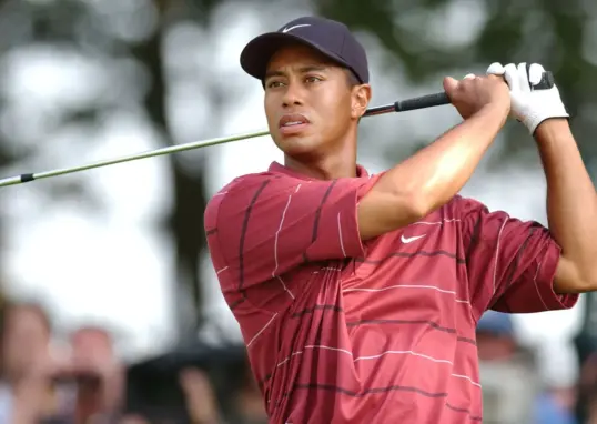 tiger woods — IN news