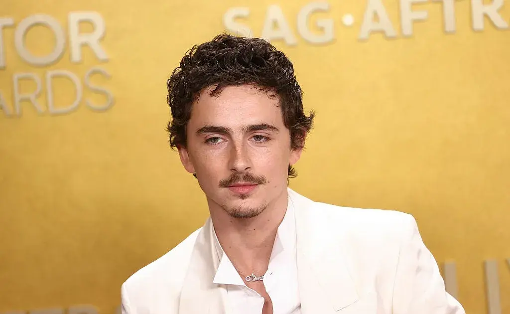 timothee chalamet — IN news