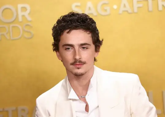 timothee chalamet — IN news