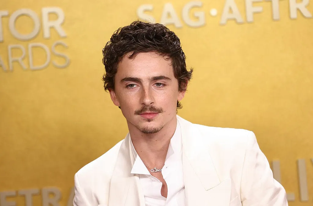 timothee chalamet — IN news