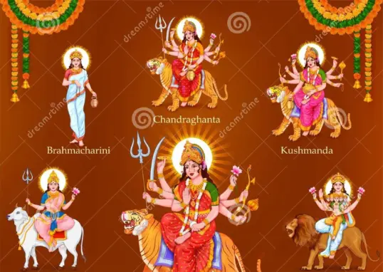 today navratri day — IN news
