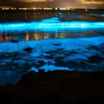 tomorrow weather — IN news