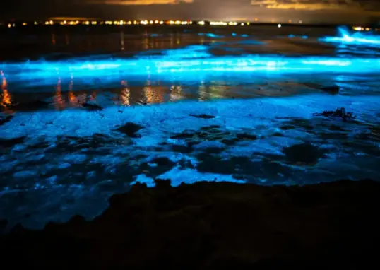 tomorrow weather — IN news