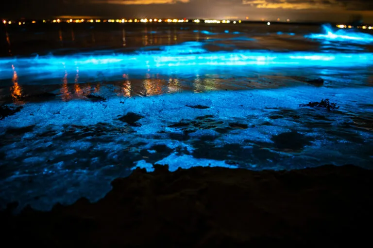 tomorrow weather — IN news