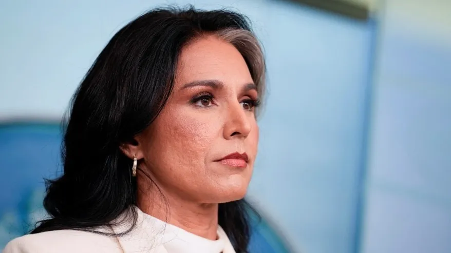 tulsi gabbard — IN news