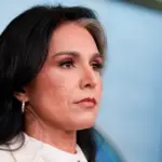 tulsi gabbard — IN news