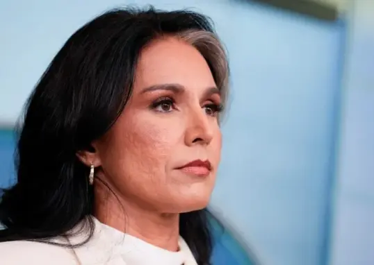 tulsi gabbard — IN news
