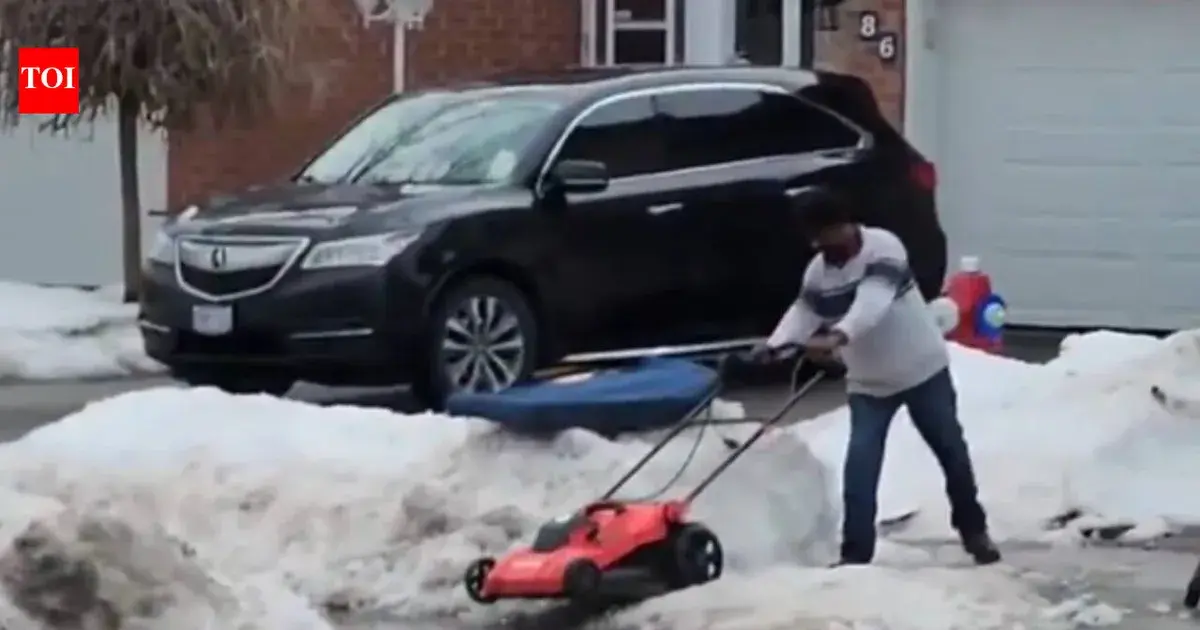 viral videos — IN news