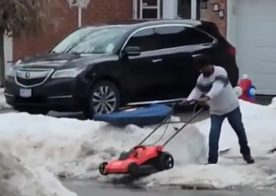 viral videos — IN news