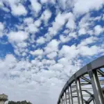 weather ludhiana — IN news