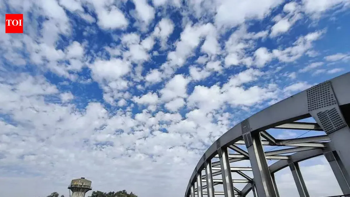 weather ludhiana — IN news