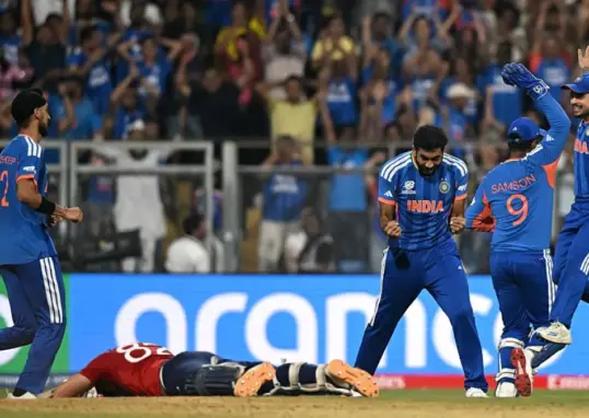 world cup final — IN news