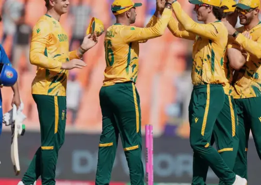 zim vs sa — IN news