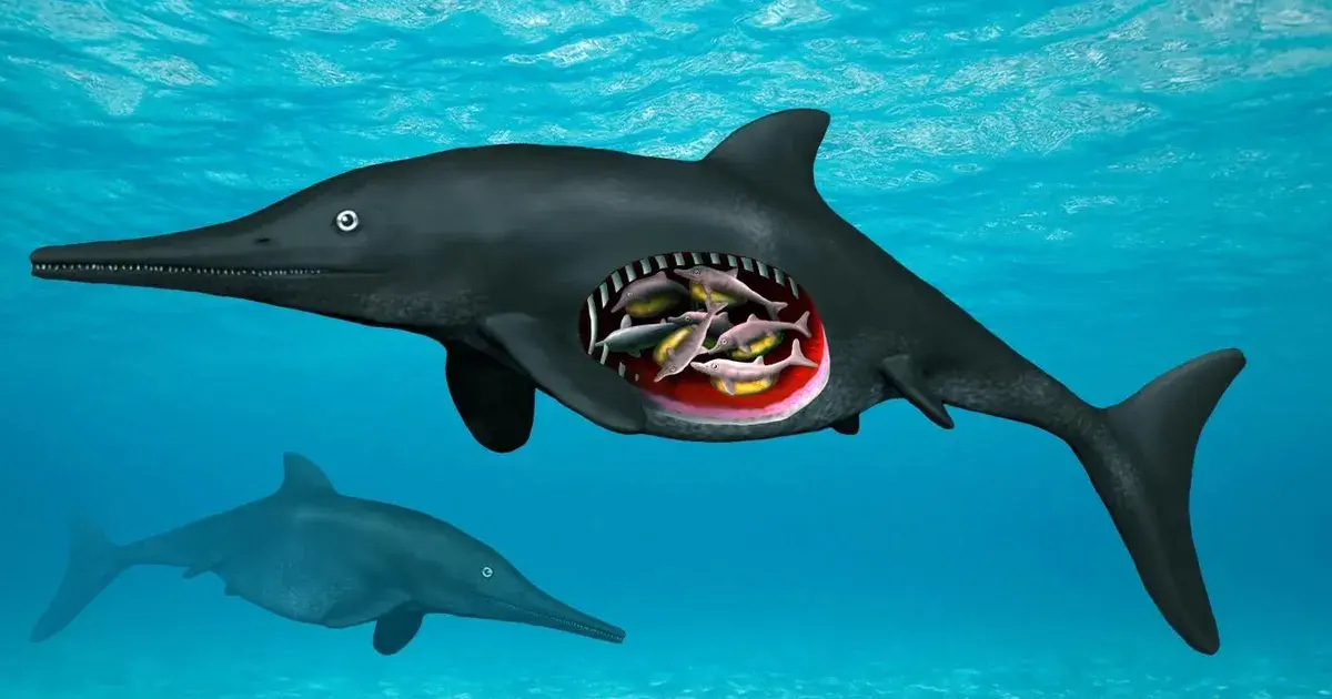 180 million year old ichthyosaur — IN news