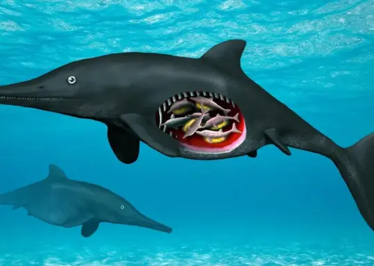 180 million year old ichthyosaur — IN news
