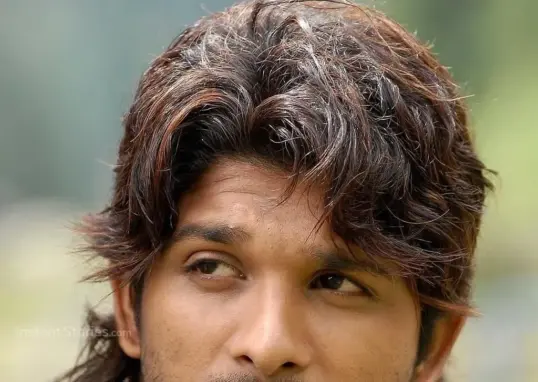 allu arjun — IN news