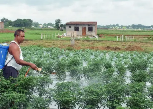 imd 2026 monsoon forecast — IN news