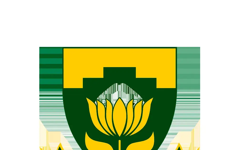 kagiso rabada — IN news