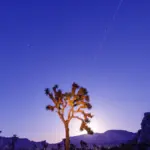 lyrid meteor shower — IN news