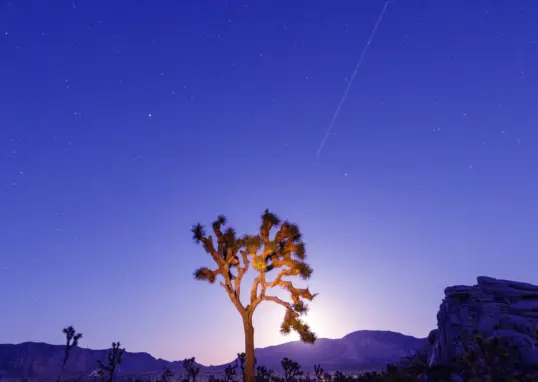 lyrid meteor shower — IN news