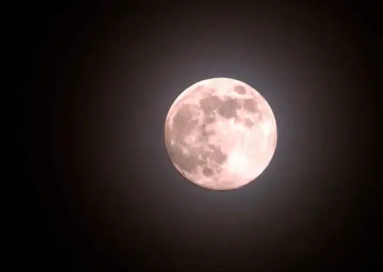 pink moon — IN news