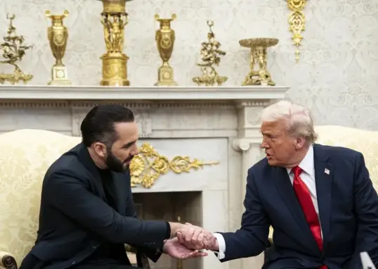 salvador — IN news