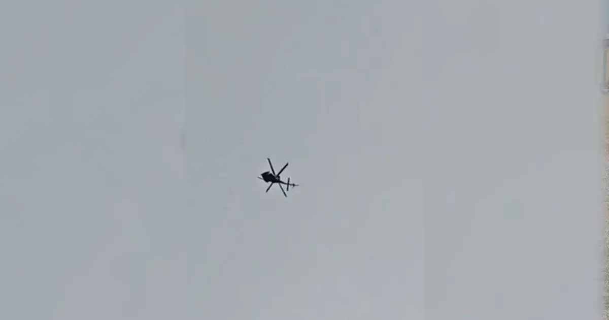 video videos — IN news