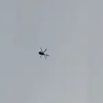 video videos — IN news