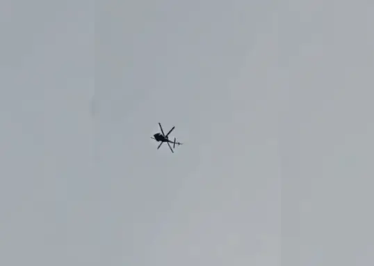 video videos — IN news