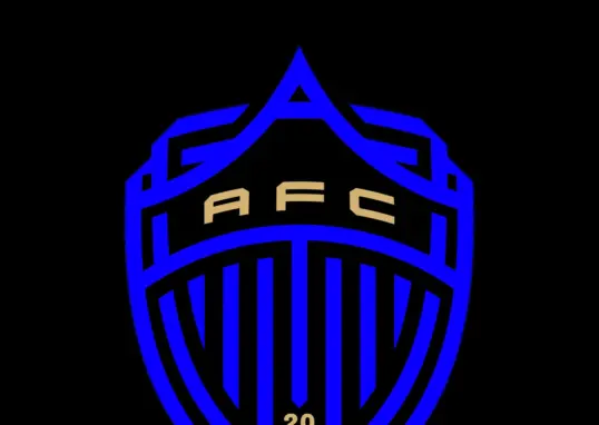 auckland fc vs melbourne city fc — IN news