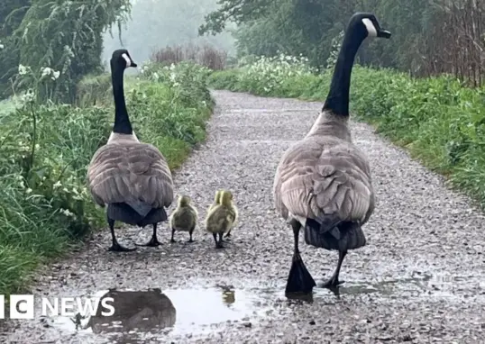 bank holiday — IN news