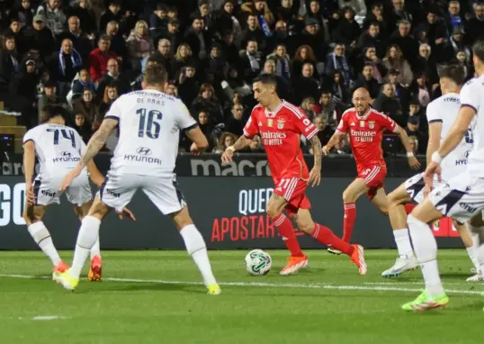 famalicão vs benfica — IN news