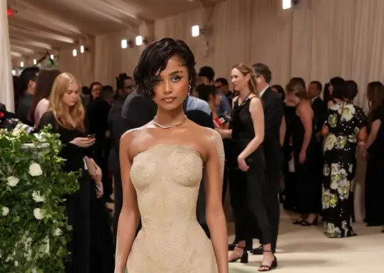met gala — IN news