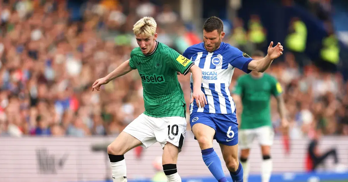 newcastle vs brighton — IN news