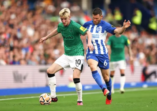 newcastle vs brighton — IN news